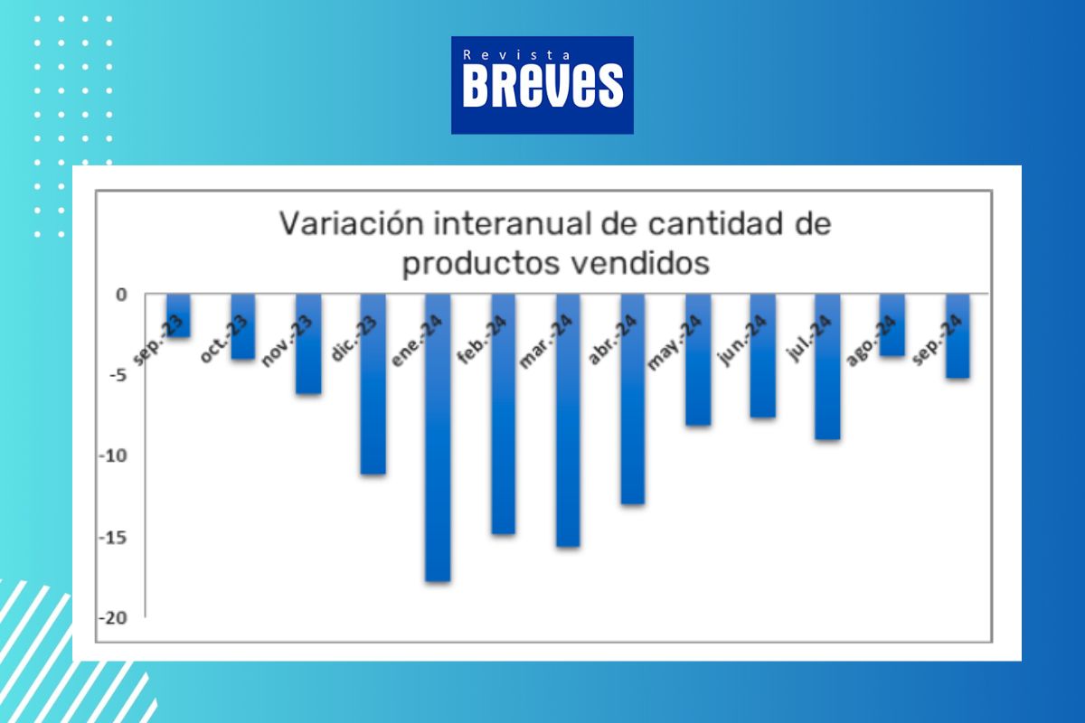 Caída del 5,19% en ventas minoristas de Río Cuarto: ¿qué sectores lideran la baja? - imagen 4